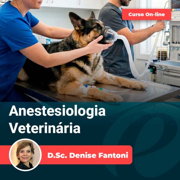 Curso online de Anestesiologia Veterinária Equalis com D.Sc. Denise Fantoni