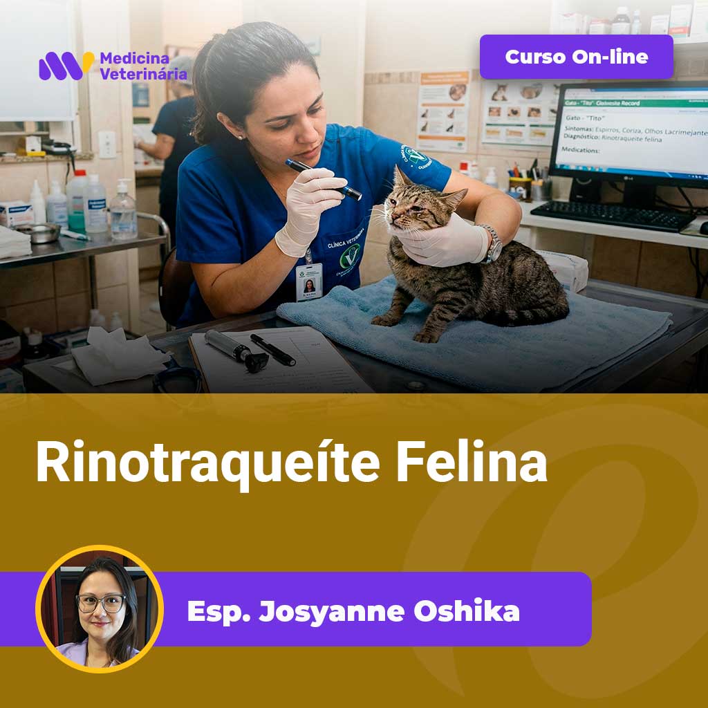 Veterinarian in blue scrubs examines a cat on a clinic table; 'Curso On-line' banner visible above.