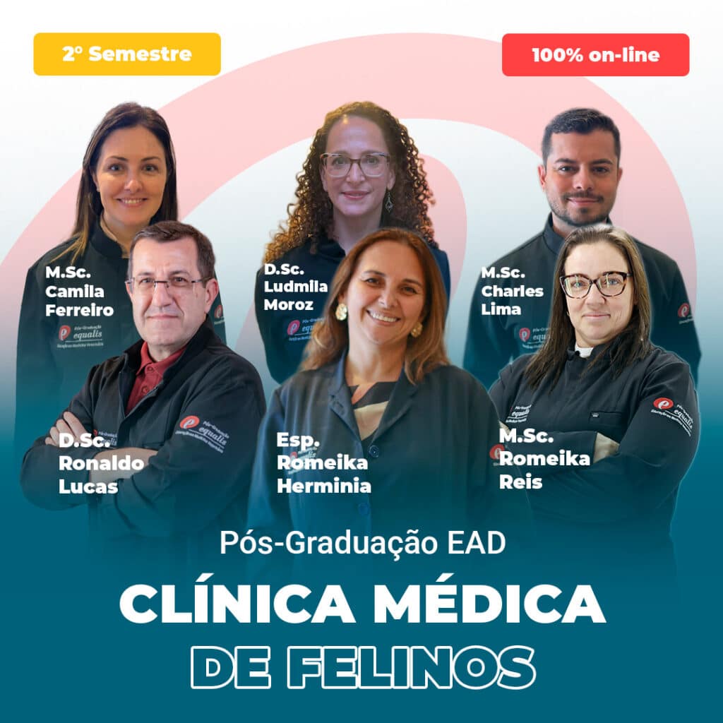 Group of seven veterinary clinicians posed in front of a teal-pink poster advertising a feline medicine post-grad program, with 'CLÍNICA MÉDICA DE FELINOS' text visible at bottom.