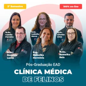 Group of seven veterinary clinicians posed in front of a teal-pink poster advertising a feline medicine post-grad program, with 'CLÍNICA MÉDICA DE FELINOS' text visible at bottom.