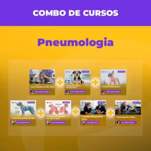 Promo banner for 'Combo de Cursos' showing six course cards with plus signs connecting them, set on a yellow gradient background with a purple header.