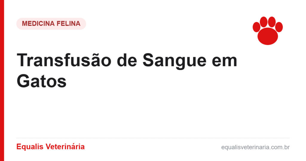 Transfusão de Sangue em Gatos — Equalis Veterinária