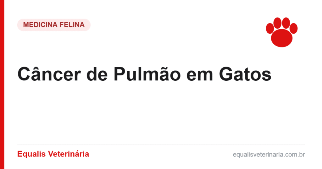Câncer de Pulmão em Gatos — Equalis Veterinária