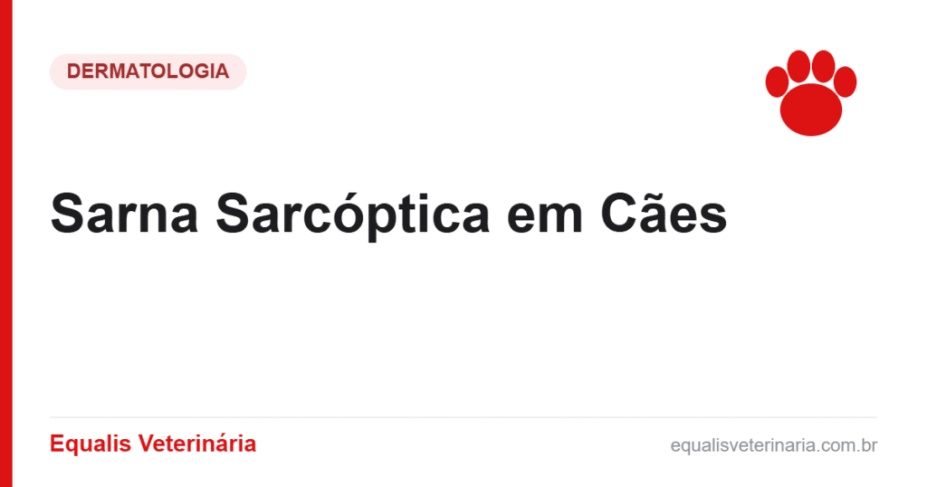 Sarna Sarcóptica em Cães — Equalis Veterinária
