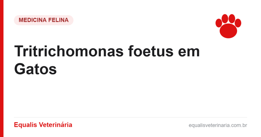 Tritrichomonas foetus em Gatos — Equalis Veterinária