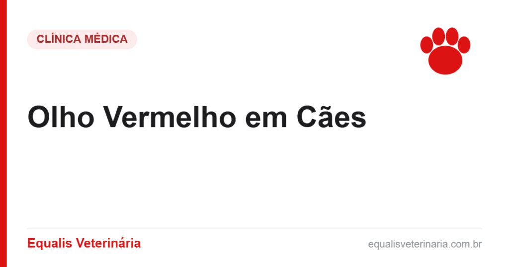 Olho Vermelho em Cães — Equalis Veterinária