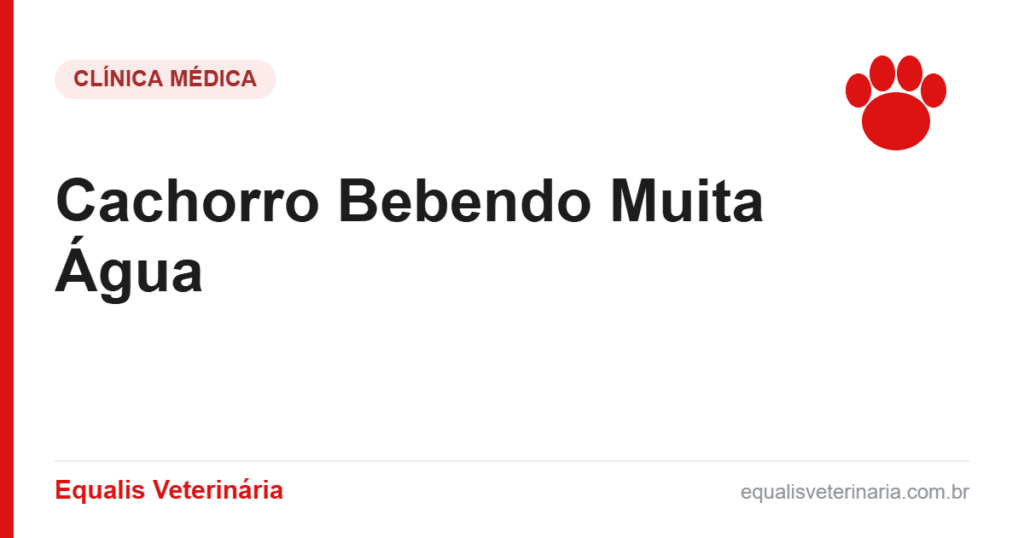 Cachorro Bebendo Muita Água — Equalis Veterinária